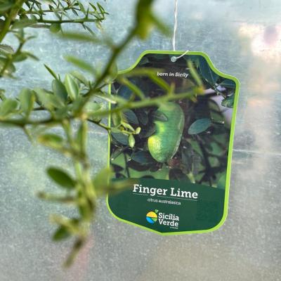 Whatsapp Image 2022 03 09 At 11.38.55 1