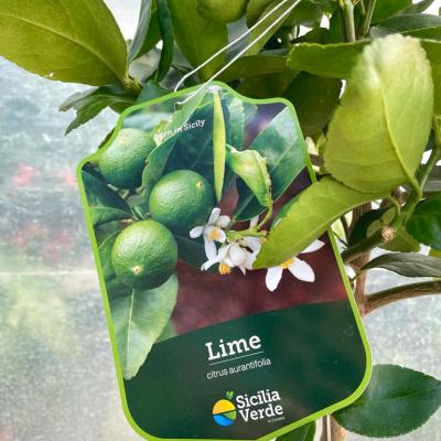 Whatsapp Image 2022 03 09 At 11.38.55 3