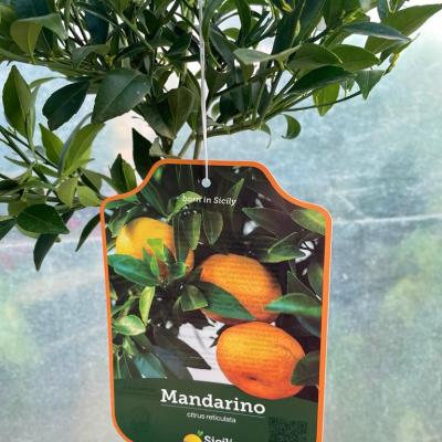 Whatsapp Image 2022 03 09 At 11.38.55 5