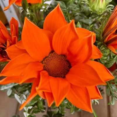 Whatsapp Image 2022 03 09 At 12.08.05