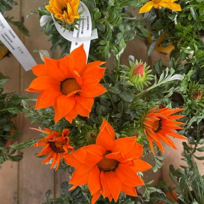 Whatsapp Image 2022 03 09 At 16.20.21 12