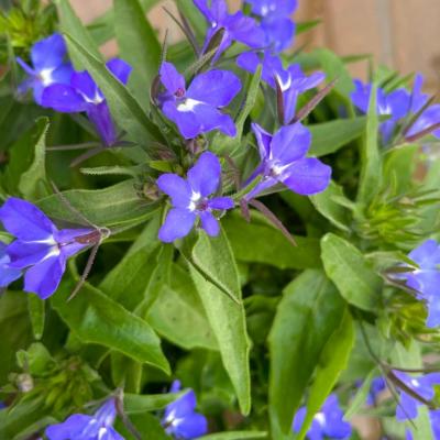 Whatsapp Image 2022 03 09 At 16.20.21 15