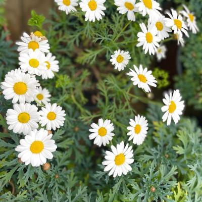 Whatsapp Image 2022 03 09 At 16.20.21 16