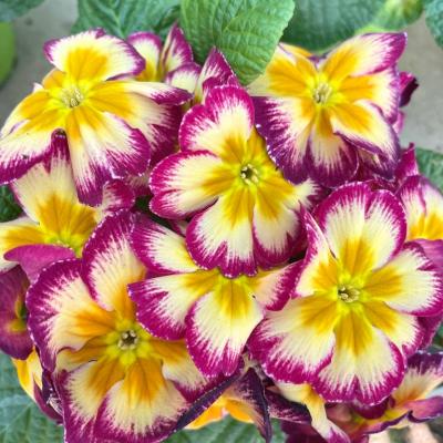 Whatsapp Image 2022 03 09 At 16.20.21 1