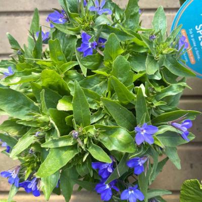 Whatsapp Image 2022 03 09 At 16.20.21 24