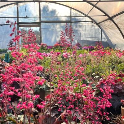 Whatsapp Image 2022 03 09 At 16.20.21 28