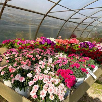 Whatsapp Image 2022 03 09 At 16.20.21 3