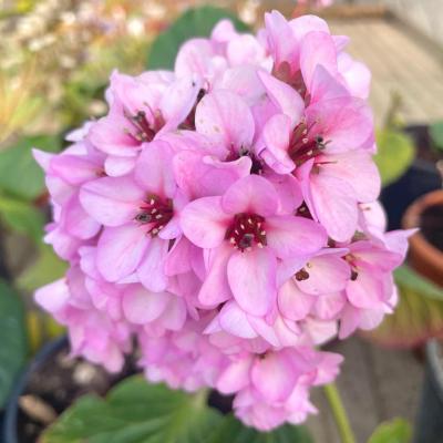 Whatsapp Image 2022 03 09 At 16.20.21